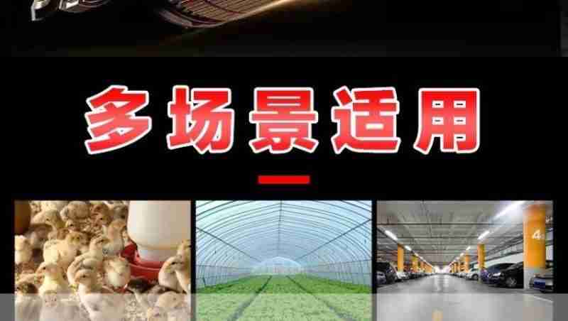 这是3月14日在任炜汉绣工作室拍摄的汉绣作品“双鹤朝阳”。新华社记者 杜子璇 摄