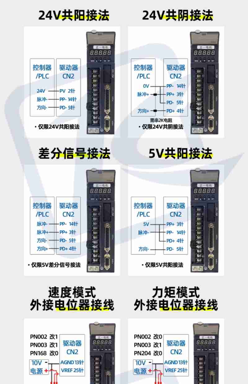 赤嘴潜鸭（视频截图）。新华网发（郭康 摄）